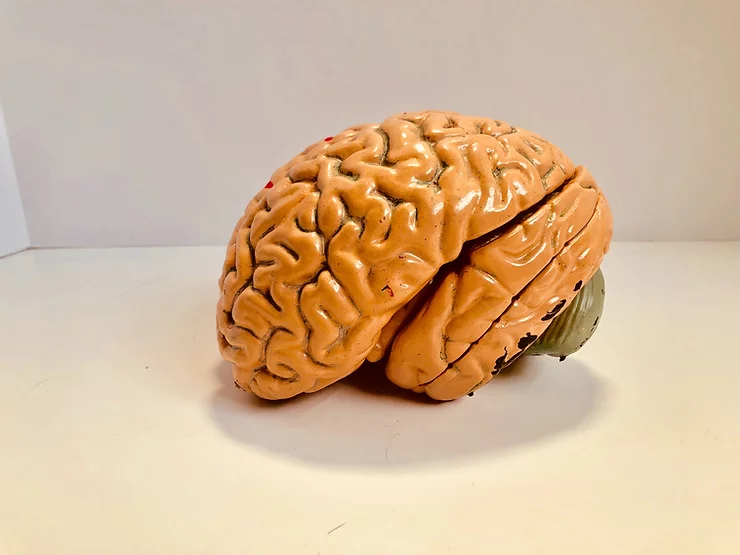 Plano de saúde deve custear o tratamento de pessoas acometidas de alienação mental