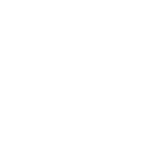 Excelência em Atendimento Platinum